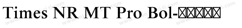 Times NR MT Pro Bol字体转换